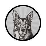 Rin Tin Tin