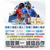 开云/九游/星空/米兰/乐鱼/OD/华体会/爱游戏