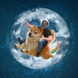 DogeCoin to the Moon - SOLANA