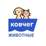 Ковчег | животные