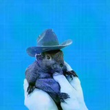 🟧🌰🟩🐿🟦