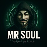 Mr Soul