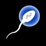 Sperm On Solana
