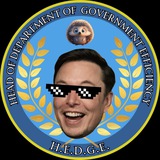 Head of Department Of Government Efficiency (HEDGE)