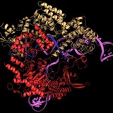 CRISPR Portal