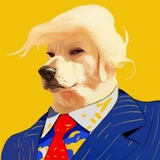 🇺🇸 DOGNALD | BNB | Official chat