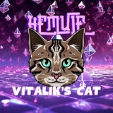 Vitalik’s Cat