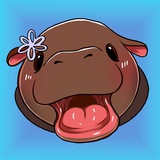 Moo Deng SUI Portal