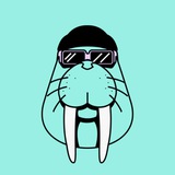 Walrus - Korean 🇰🇷