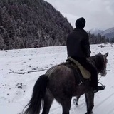 赢哥小额洗资