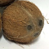 Cocos Engine