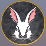 CashBunny 🐰 (BUNNY)🐰