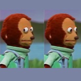 Awkward Look Monkey