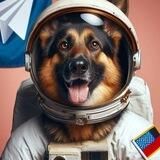 SHEP