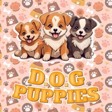 D.O.G Puppies PORTAL