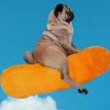 FlyingCheesePuffDog Portal