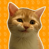 Bitcoiner $SIRIUS 🐈
