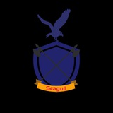 Seagull Cheat 64bit