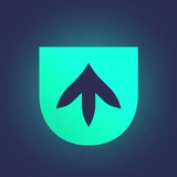 DropArena | CS2