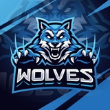 WOLVES Official🇨🇳［冲25k］