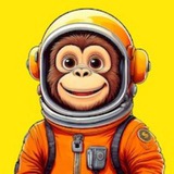 Monkey Moon