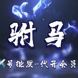驸马GT业务 代开会员-✈️号批发-引流