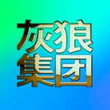 灰狼集团-精英团队