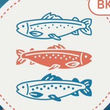MY FISH мск
