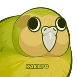 KAKAPO ~ Portal