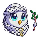 Salam Token