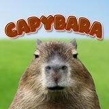 Capybara