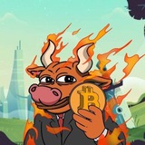 Bull Run CTO