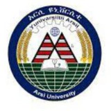 Arsi University Info Center
