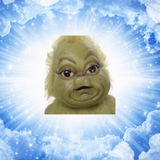 flying autistic grinch
