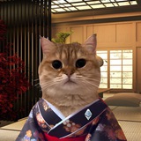 $COK The Cat - ETH Portal