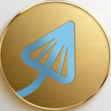 NOT BAD TRIP COIN