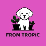 FROM TROPIC