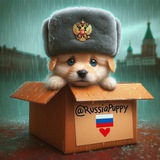 Щенки Россия 🇷🇺