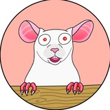 $FOX | Matt Furie’s Rat 🐁