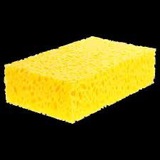 SPONGE