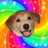 Advice Animal Portal