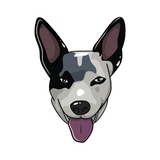 $AMI | Satoshi’s Wife Dog