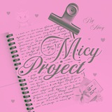 ⓘ Open — Project Mici