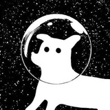 Laika chat