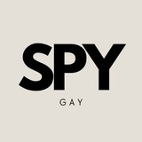 The Gay Spy🔎🏳‍🌈