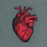 Heart.