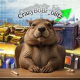 Отзывы CrazyBoBr_blitz