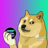 Dogecoin $DOGE Official