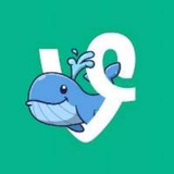 DEEP VINE COIN PORTAL