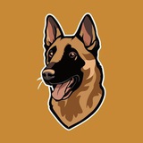 Belgian Malinois INU | Portal